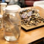 A preserved fish specimen sits in a jar in front of a pile of pebbles with fish cutouts on them. 