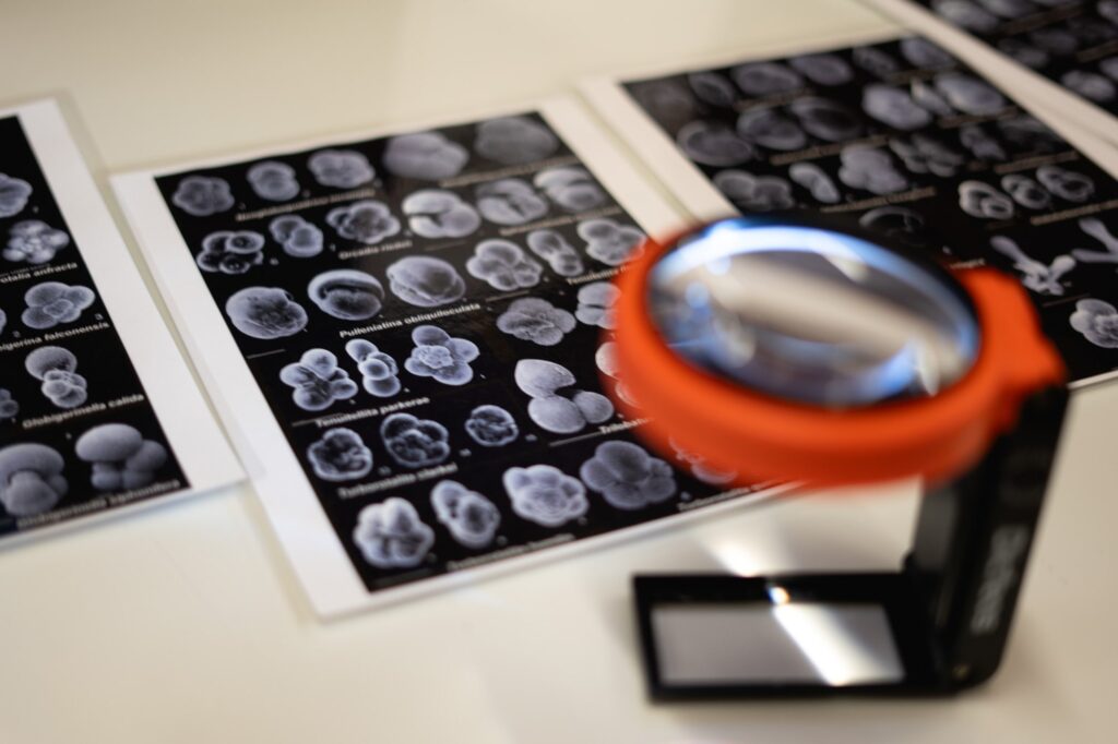 Pictures of foraminifera beside a magnifying glass