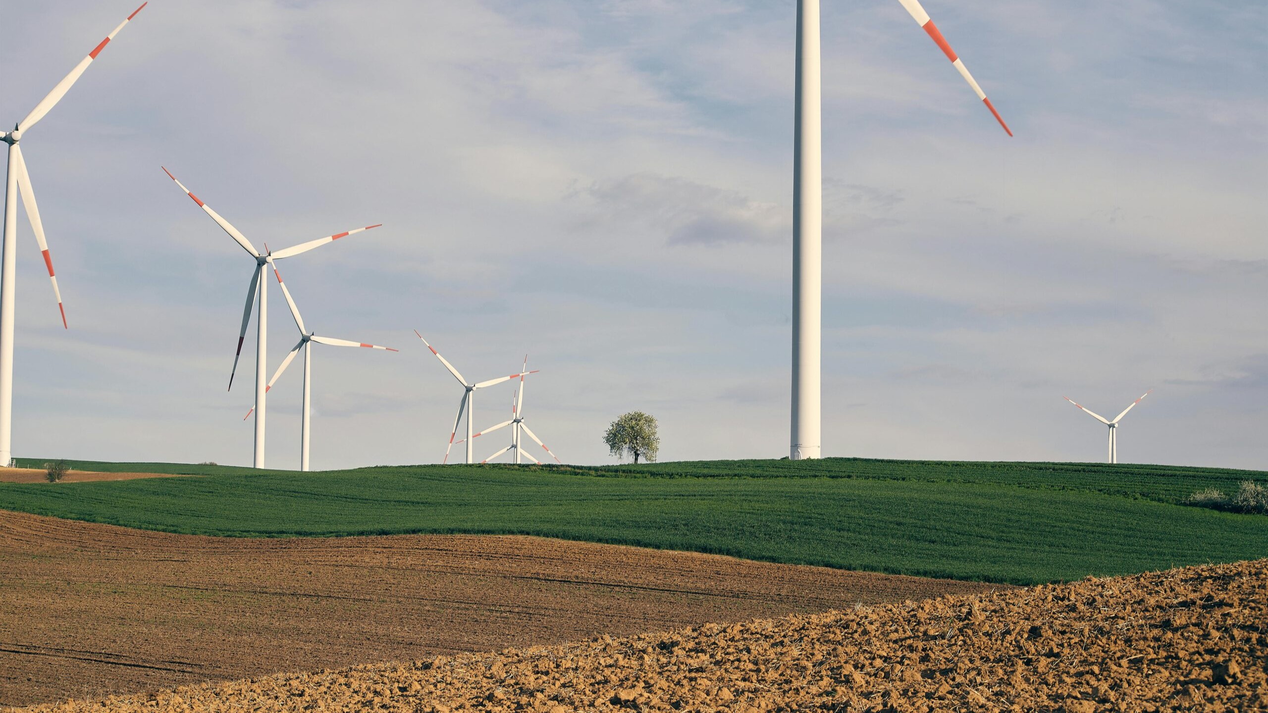 Wind turbines in a field