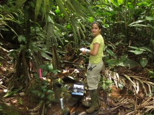 Field work in Costa Rica, post-doc Diana Oviedo Vargas