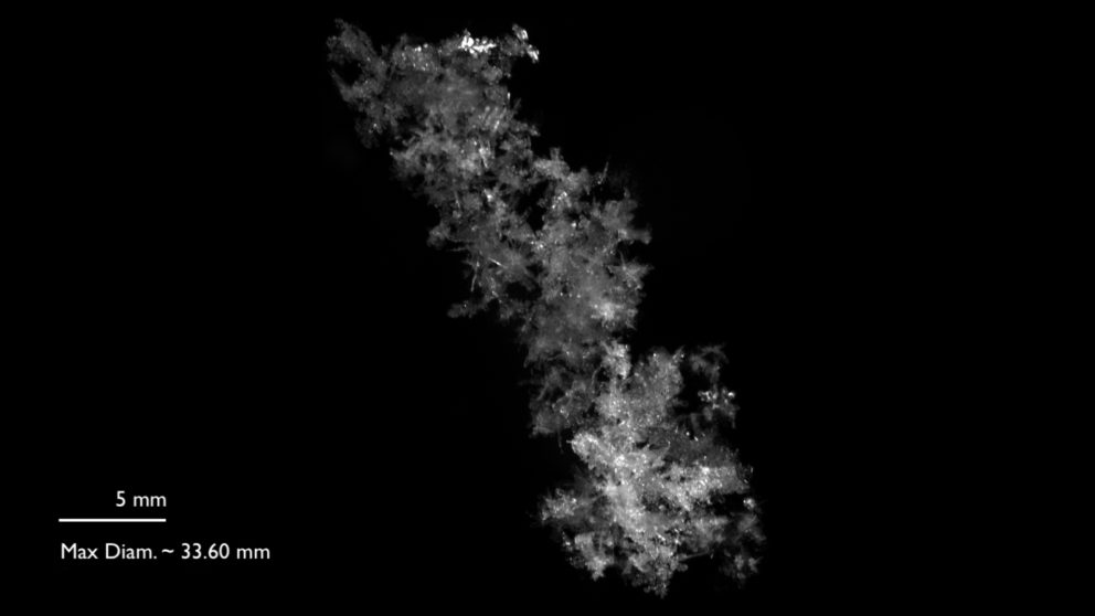 photograph of a snowflake