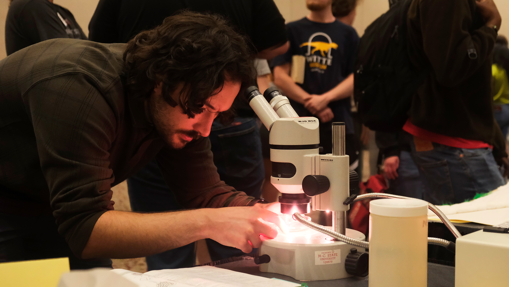 Student looks at a sample under a microscope